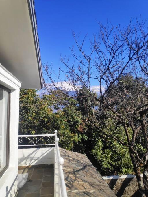 Ghost Villa Pokhara With Mountain View 20Mins From Main Area Ranipauwa المظهر الخارجي الصورة
